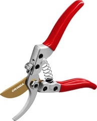 Обустройство сада