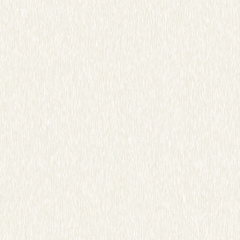 Обои Виниловые на флизелиновой основе 1,06м х 10,05м