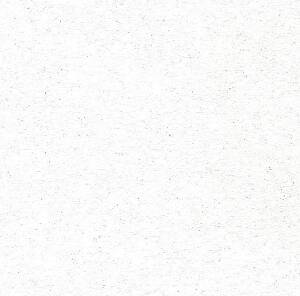 Потолочная панель ReTAIL 60*60*12 (белая)