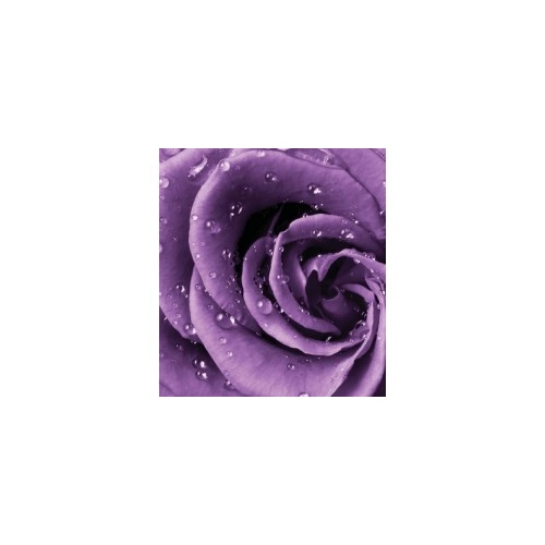 Фотопанно А2-038 Роза Фиолент 200*238 Divino Decor