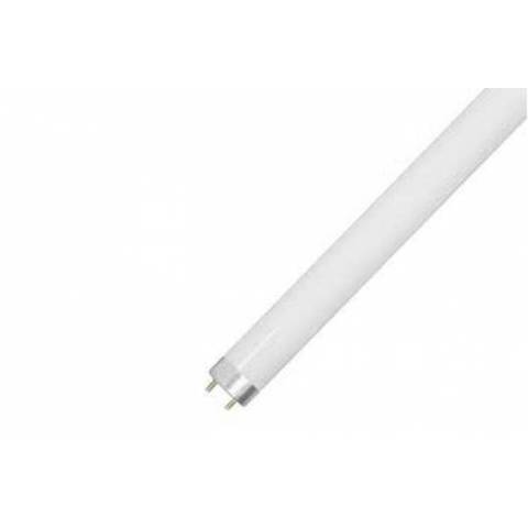 Лампа LED T8/G13 10W 6500K