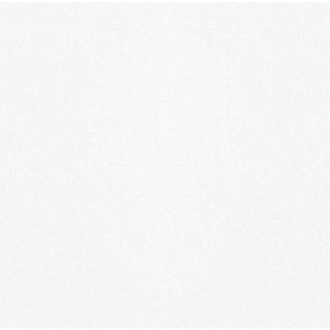 Monocolor sugar white PG 01 450x450 (1.62)