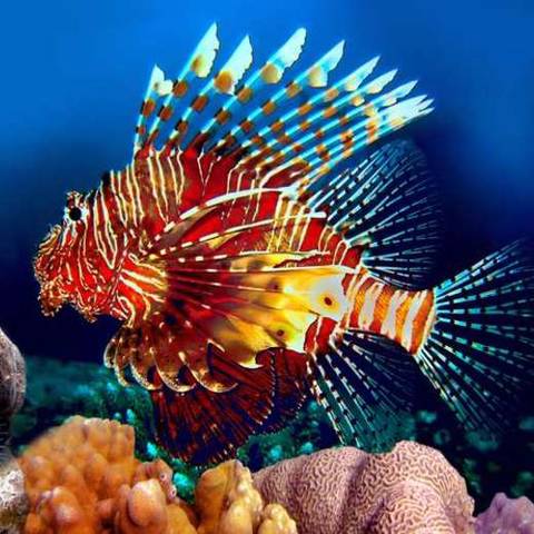 Бесшовная фреска Verol Пена за 1 кв.м на флизелиновой основе 3,2*20м