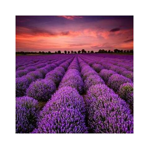 Текстурированные фотообои Verol Парфе за 1 кв.м на флизелиновой основе ширина 1,07м