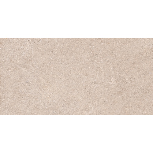 Плитка облиц. Pavana Беж. 50*25 GT102VG
