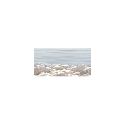 DWU09DLM604 декор Del Mare 249*500*7,5